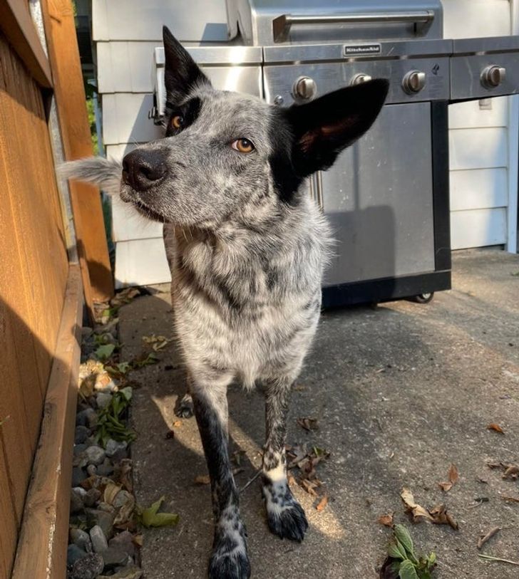 46359f5097a760dd950c97209b 46359f5097a760dd950c97209b