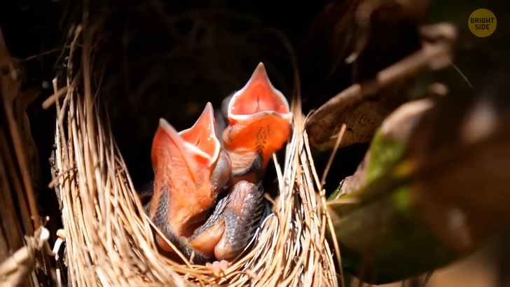 4636b65365b57df3b7f8c349fd