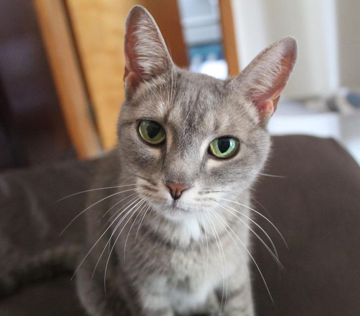 4638975e3980fcff2527ef94e4