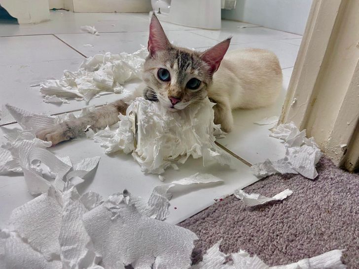 463a3d567f804d46d6ead91ed9