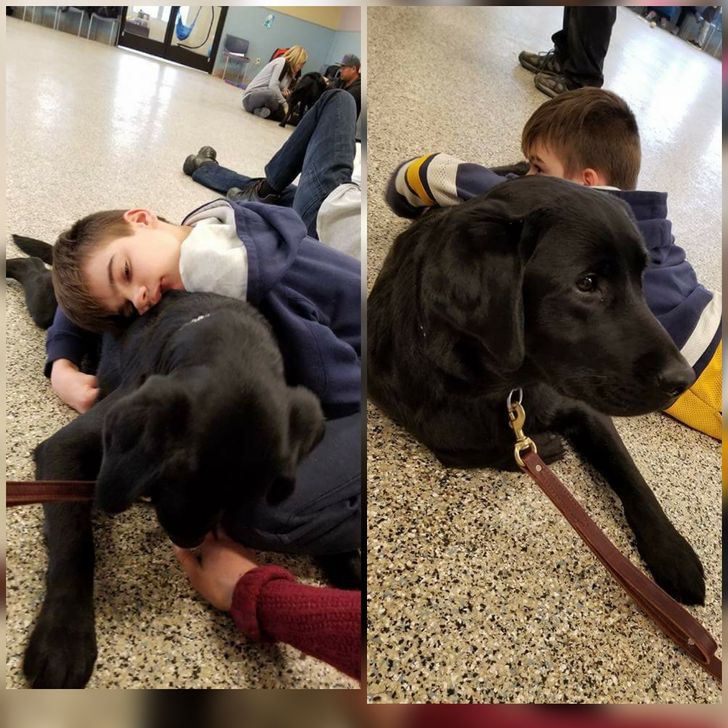 463a945234a73aef5e57725d94