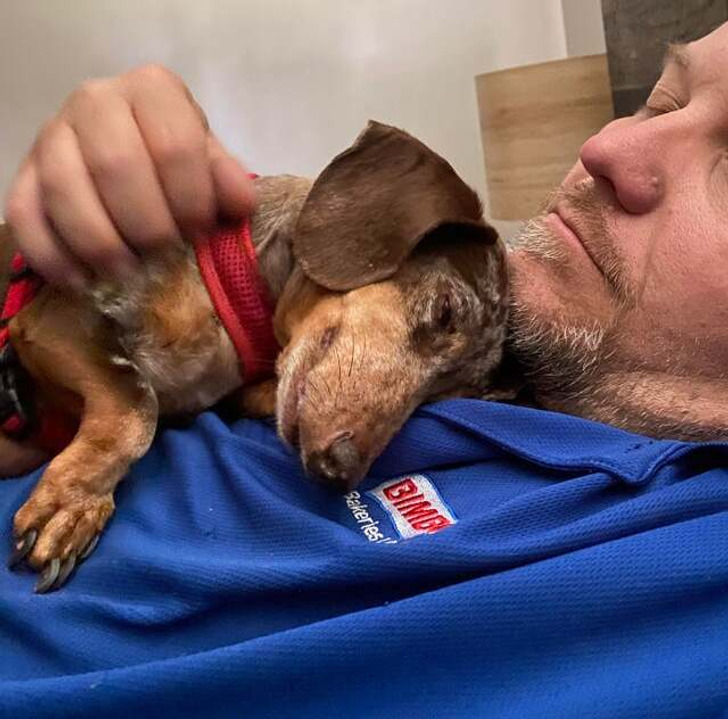 463c385e26bbca6784d590b9ec