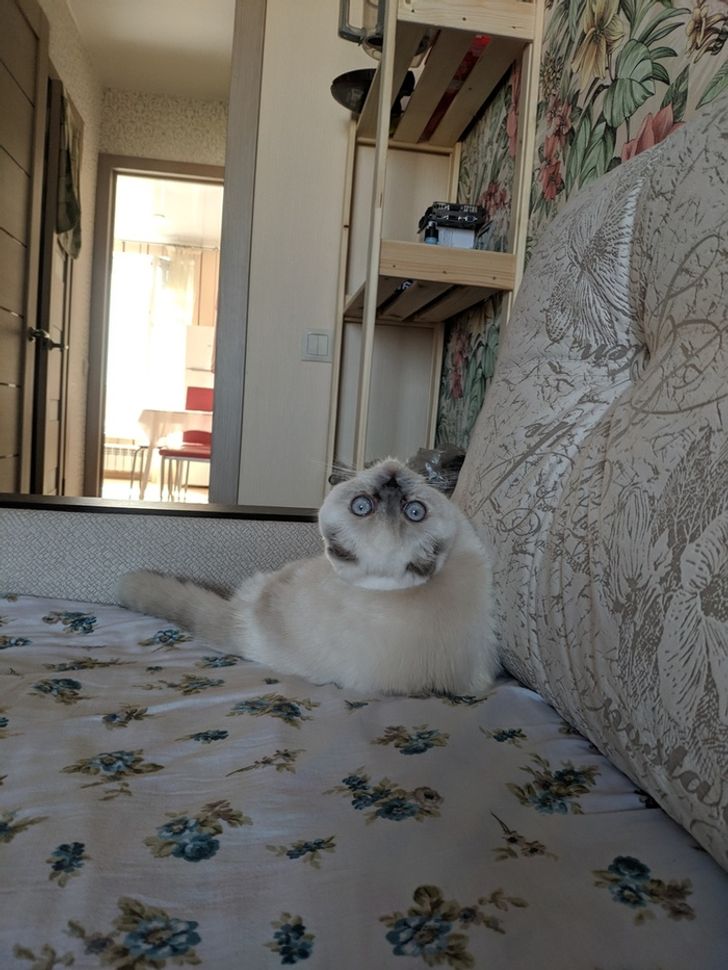 4652025f1bb7268fc6c9d6b980