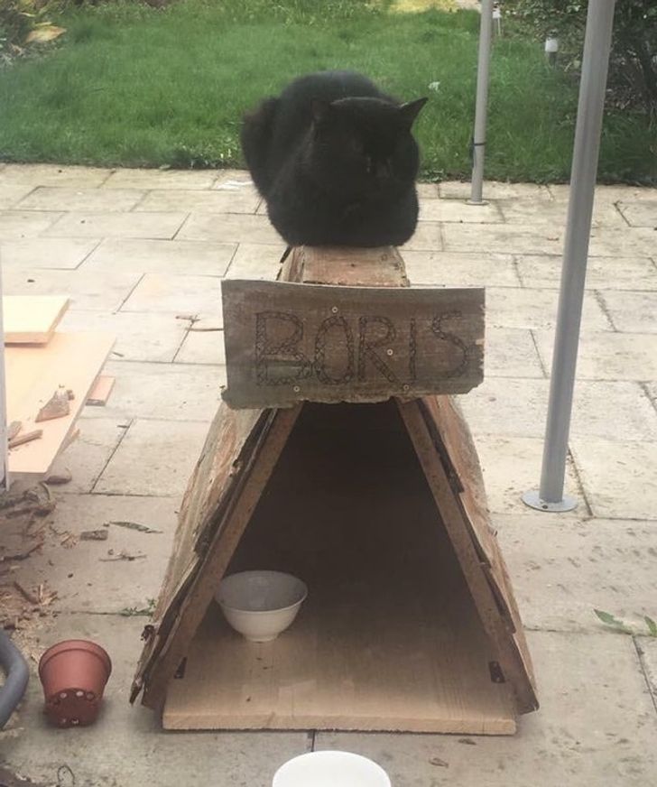 46559e56269b01fbf0051a44a7