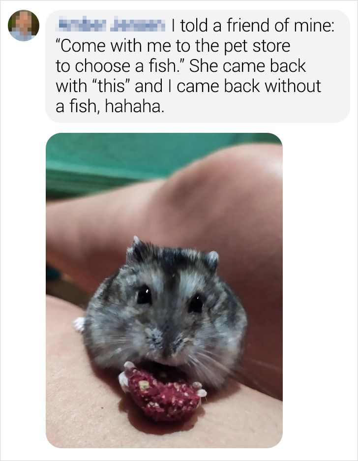 465a93521b9958573cb81909f3