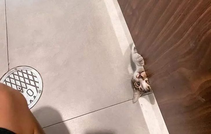 465d5157c6b02d1908b097e06d