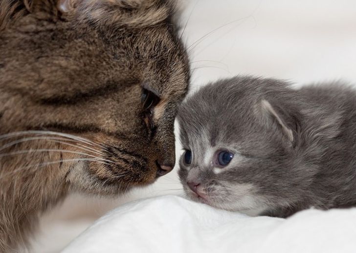 466bdd5b8987e9c7a0a4a387aa