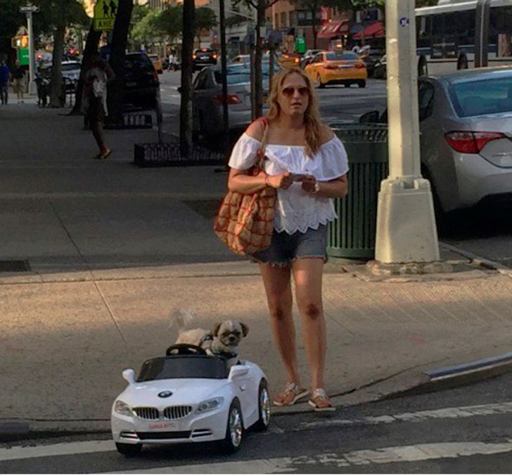 466ebc55fc8e4b7154fe6358c8