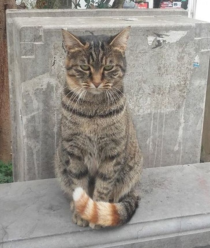 4671845495a16b893edadb7aa5