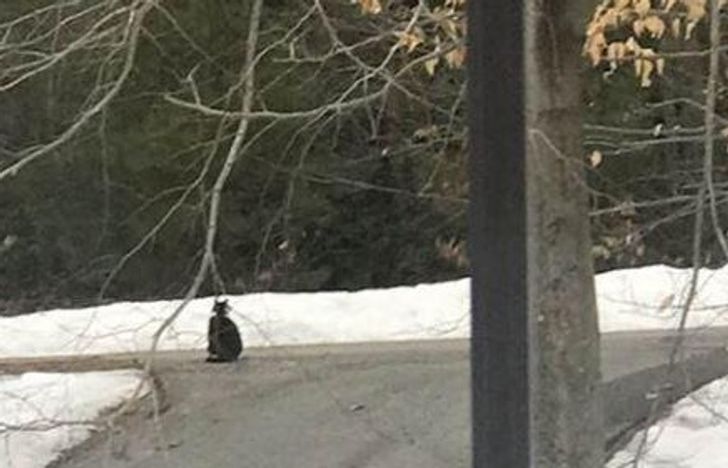 4676ea54ed81f4007976c143d9