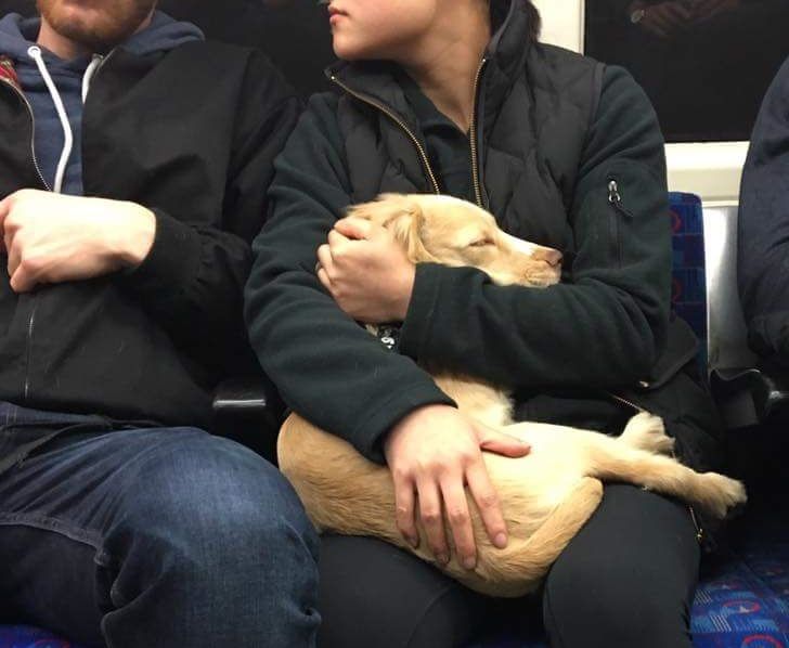 4681ac5d948634ad008119a192