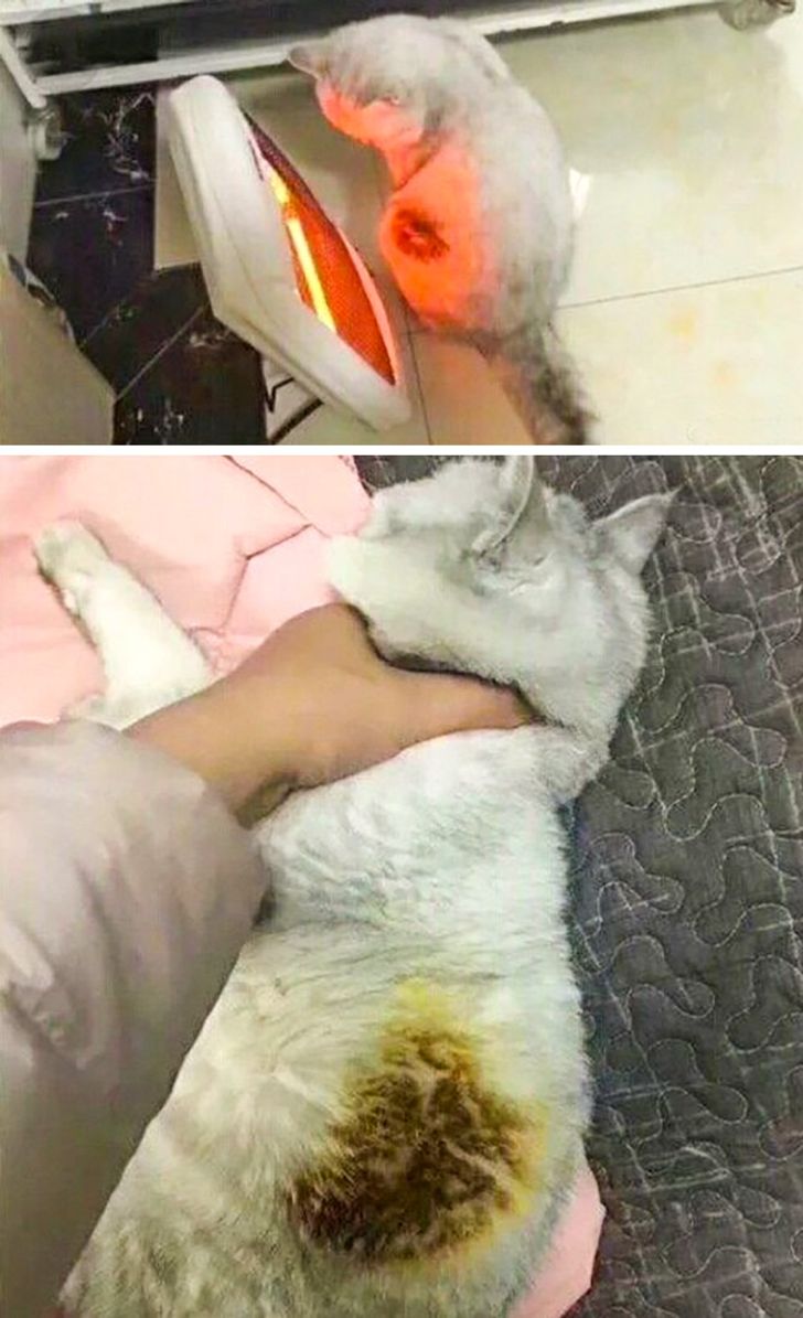 4685b35879a8a7aa3dde96a53f