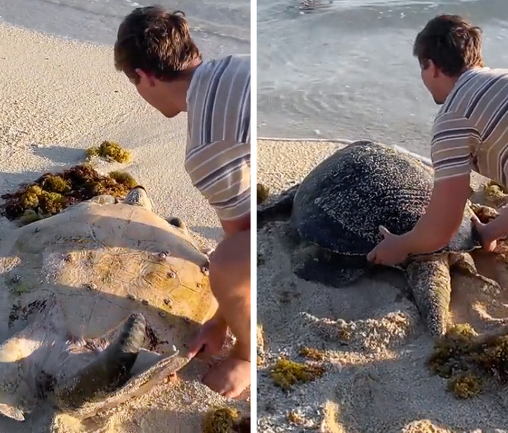 4688b55950a6d0ef16485a2569