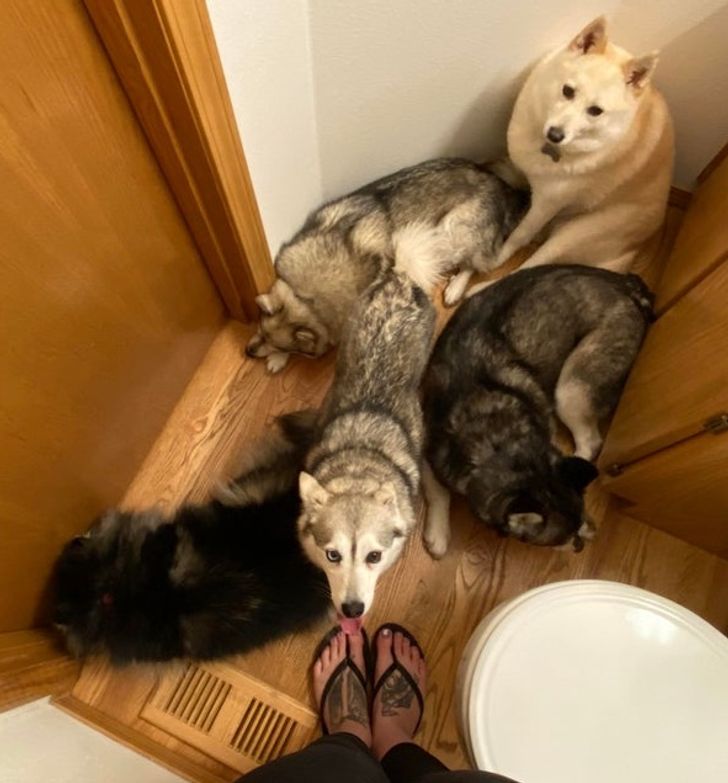 468ed85fe78a4ab69d84d2a1c5