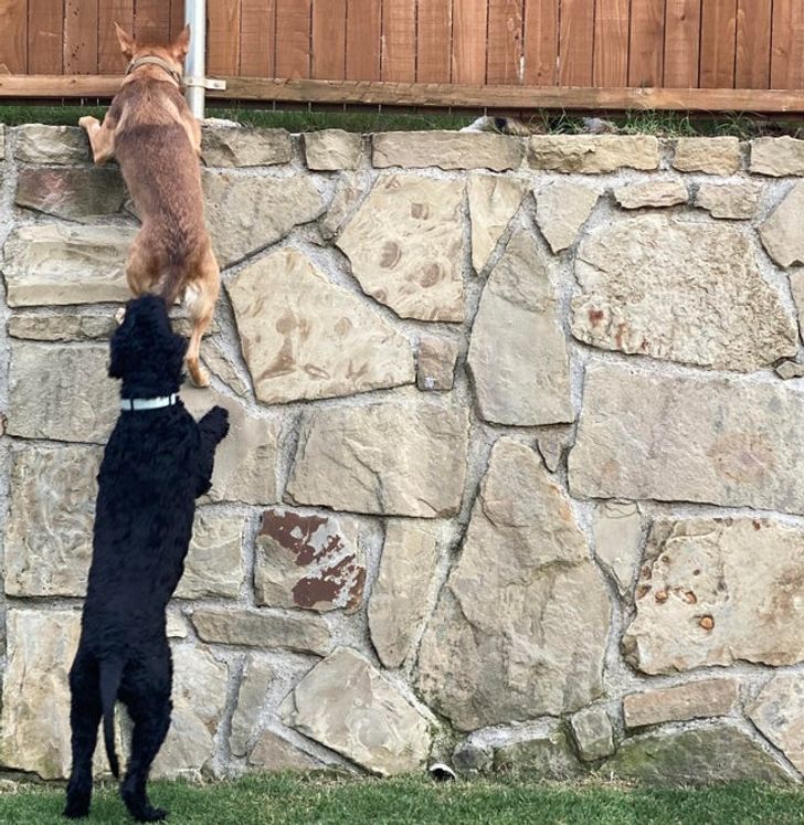 46988752a8ba74aa850c997089