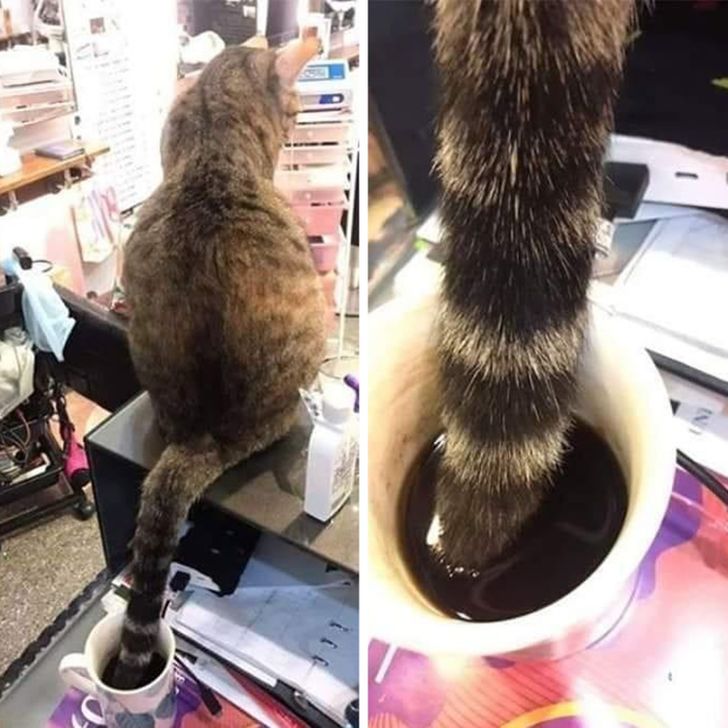 469ba052cdb008b5cdd2d50fca