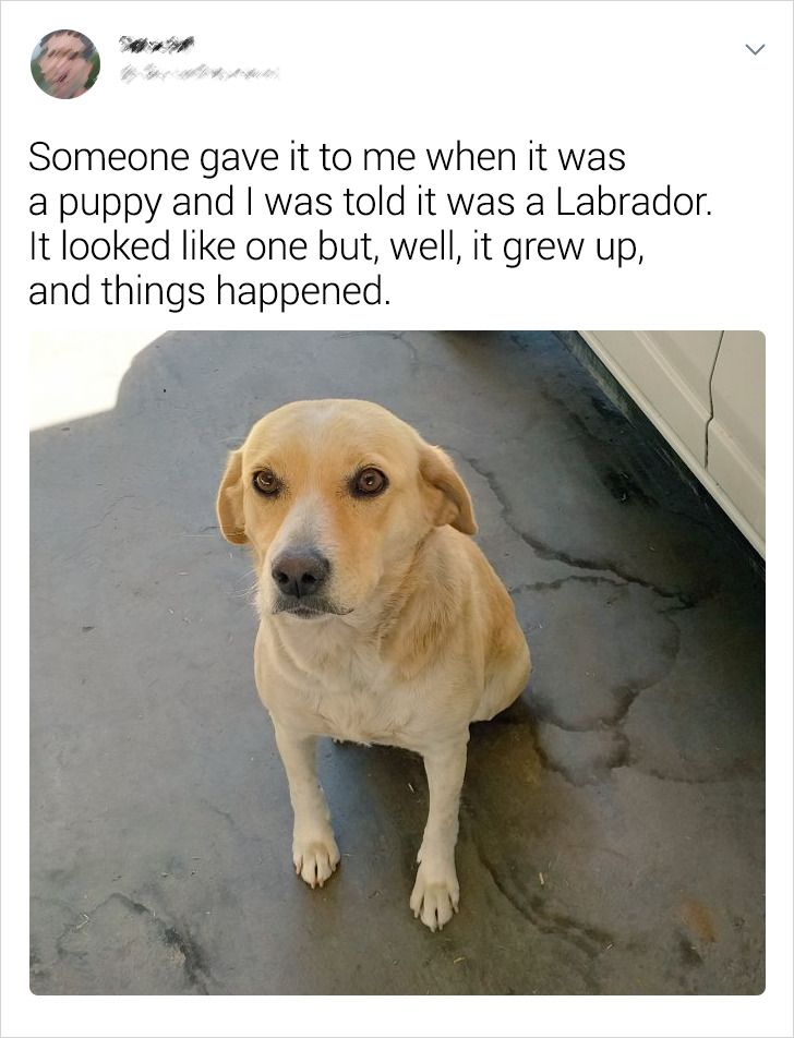 469cdc592c85e46ccf7209326a