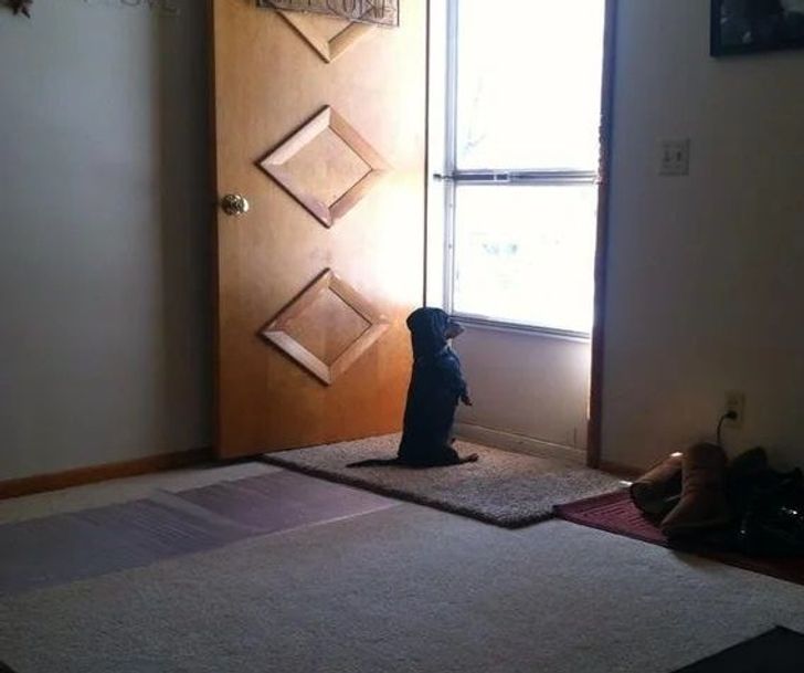 46a72054ae9eed42f876544445