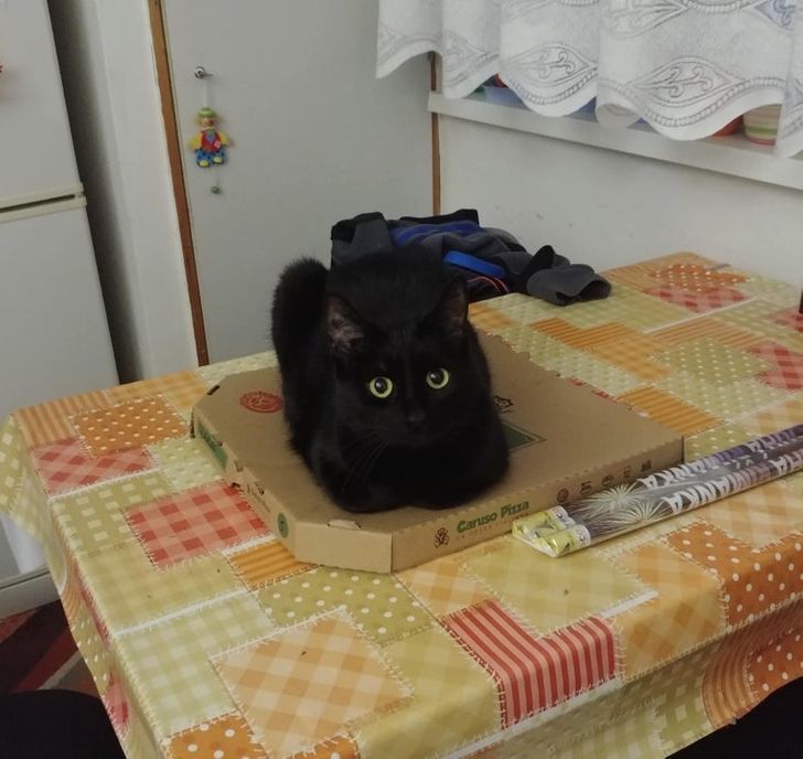 46b0d3504490084cfa6deee735