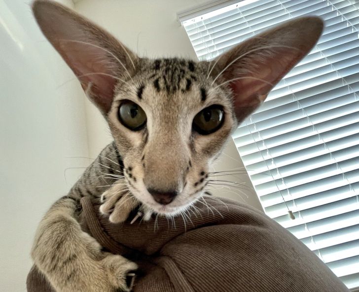 46b34f5e76ab6b9d0aec0efc9e 46b34f5e76ab6b9d0aec0efc9e