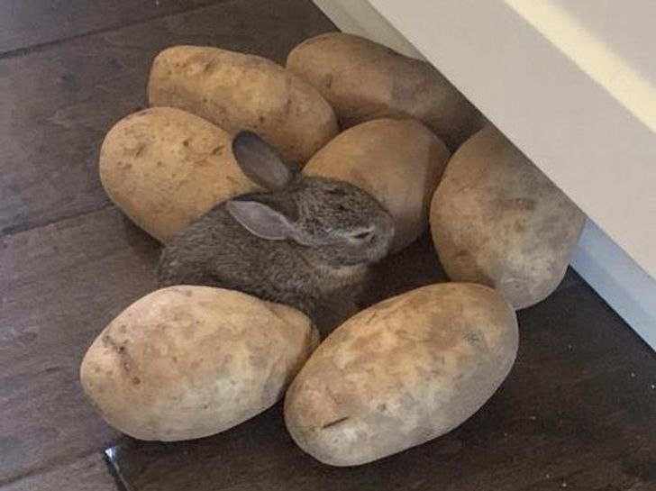 46b96a5932b291d106130f2856