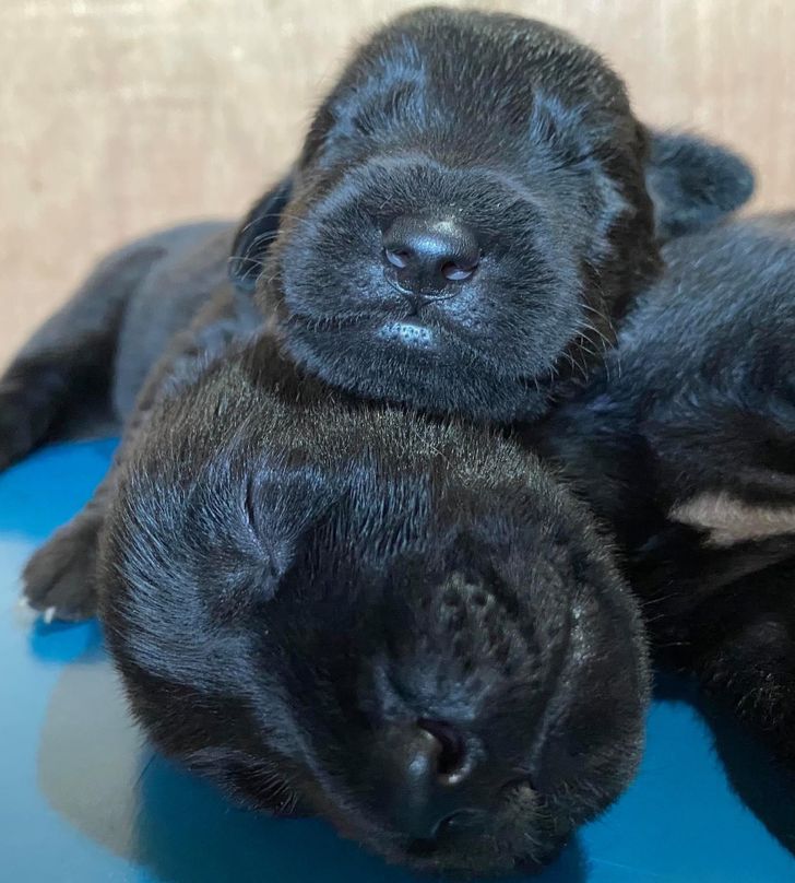 46ba295fc68ed857f9ebac4c4b