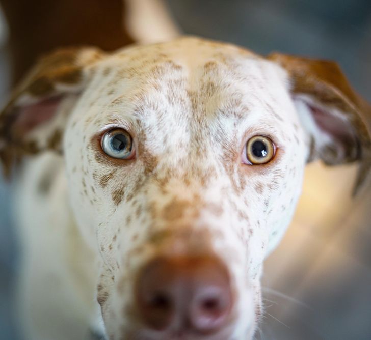 46bbaf5c3fb81243c4ce78d0a7