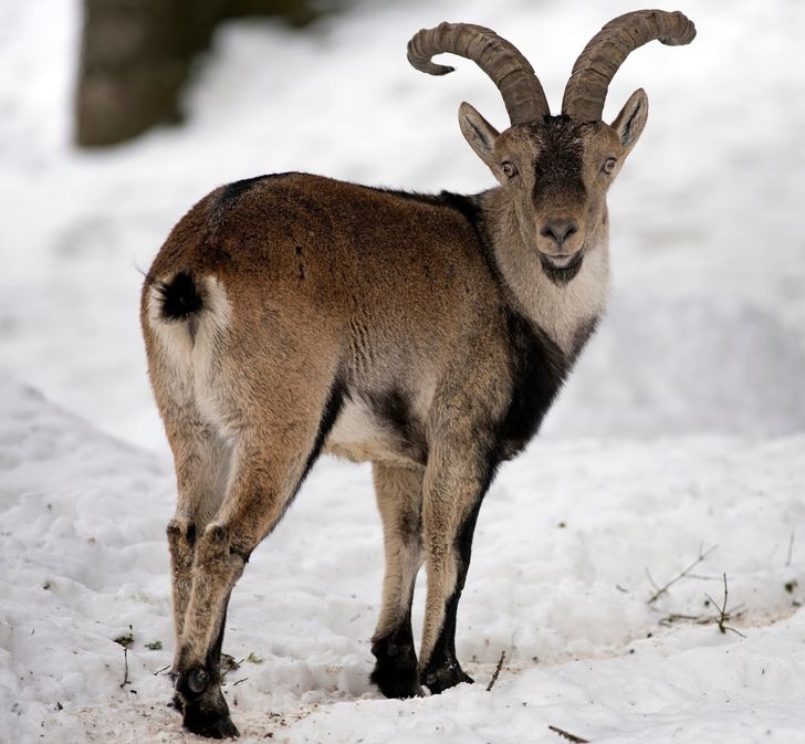 46bf2a52a39fb0863cb32f0171