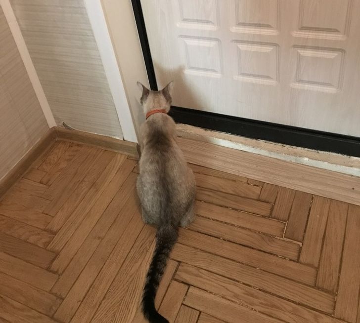 46c2d65f0c88e7e38a1e6a6d08