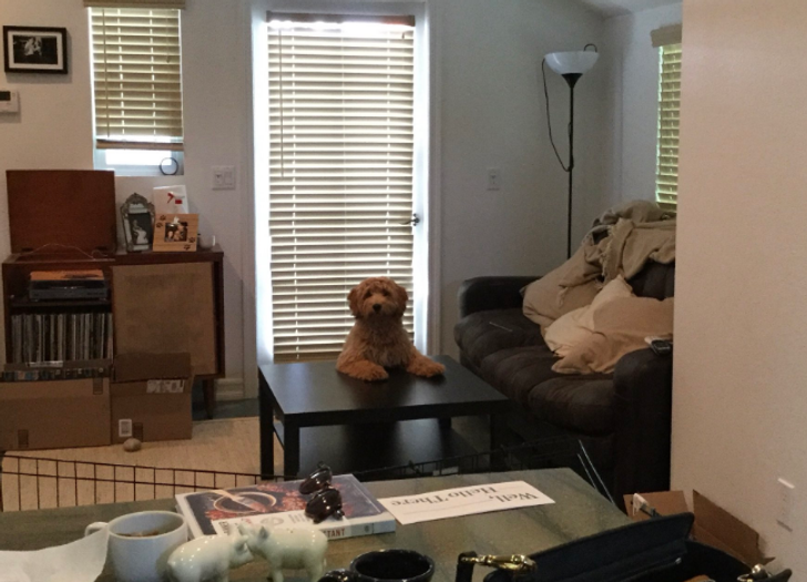 46c86c523e90f0f987e8b6368e