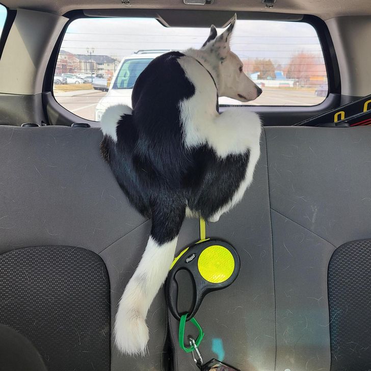 46caf05822810d277f8a43a15a