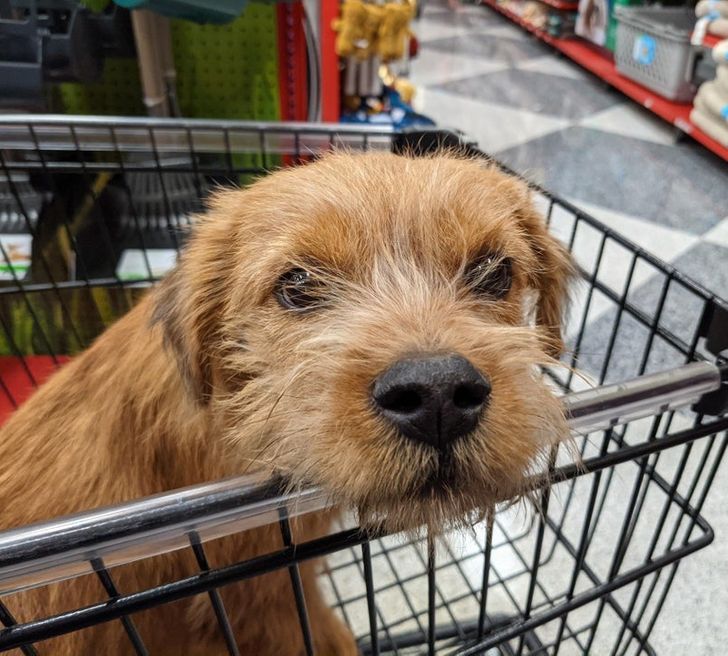 46cd1a5f70a8713b8f26a89c7b