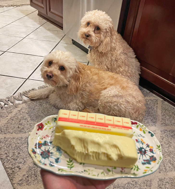 46d5395f1288027c96cff048be