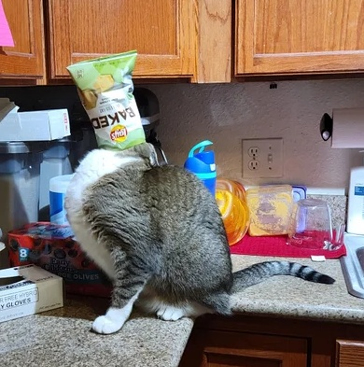 46d7a35e9ebe444e618086e3ed 46d7a35e9ebe444e618086e3ed