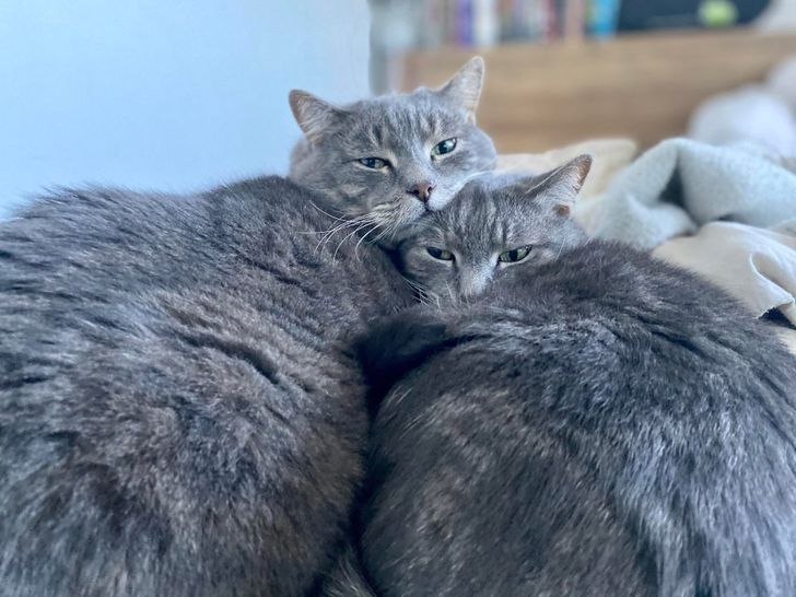 46db5d5f2e846f8be8b559faea