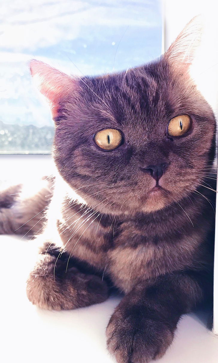 46ea82570cbfff15cd2b0ac2df