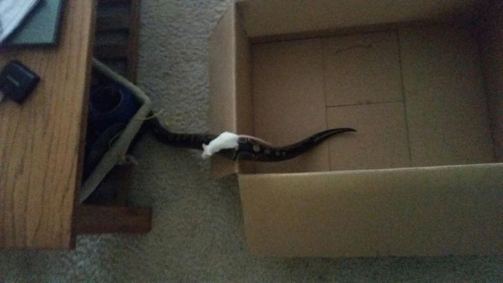 46f4f655948fb2bcb9c4a884a2