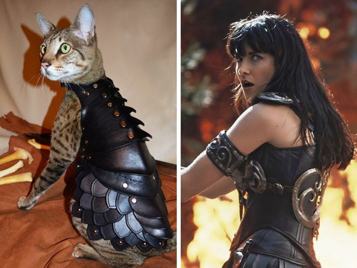 46f791568caf056f6b2686f2ab