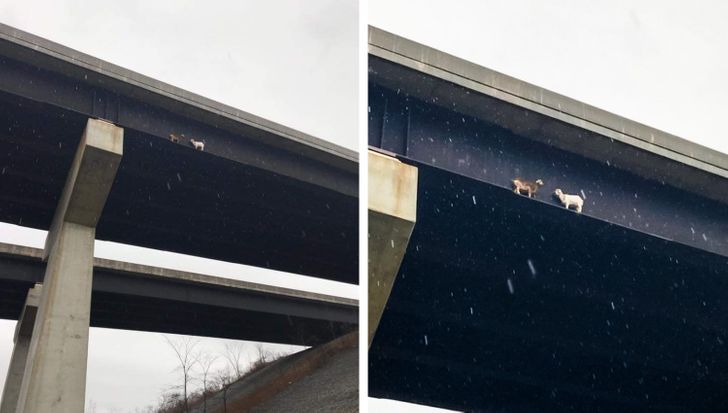 46f8a354fea683be115a7f064e