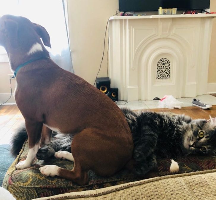 46fa575eaaa4fa4abdff4cde87