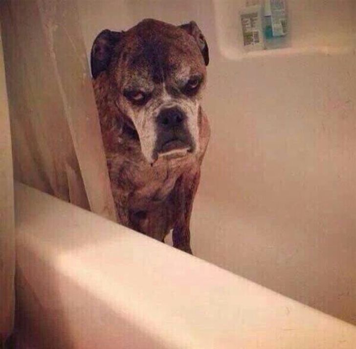 46facf5fb5aee1dafba037512e