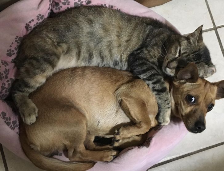 47051353b18a4d3785ff64e45d