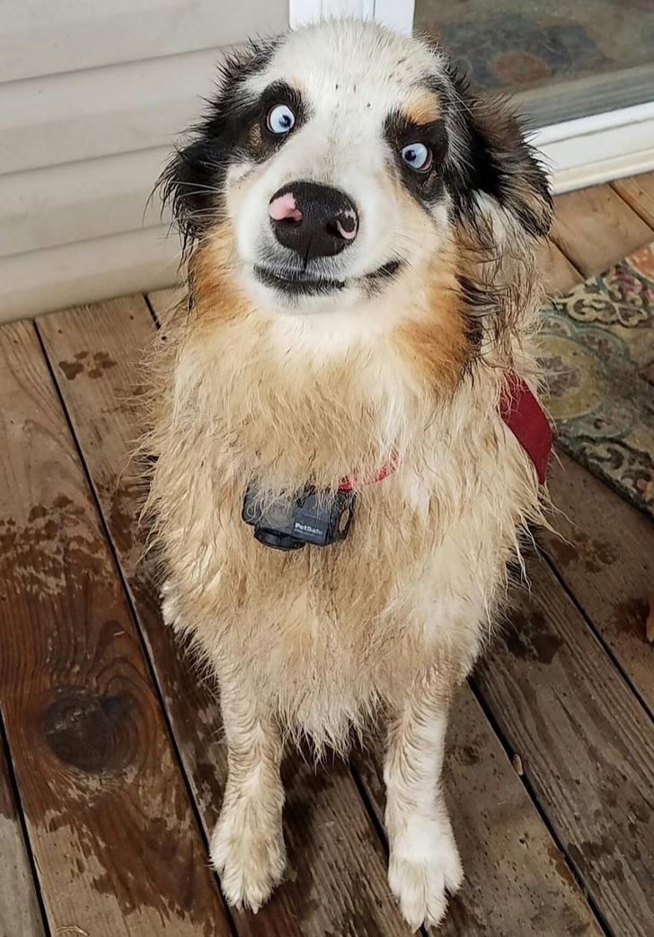 47064a50d9baf38b8dd1a64edd