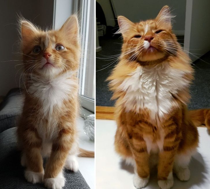 470d7656a7a0a6e55f0d0f0e80