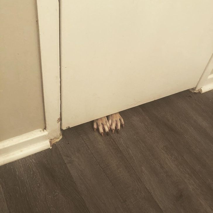 47117557a0bf49830c177bc3db