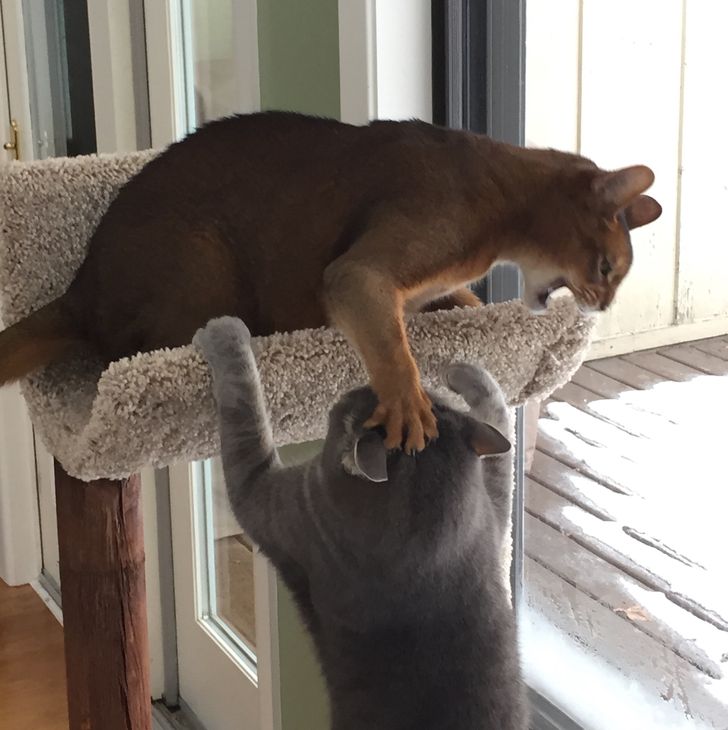 4718bf512abecf61c7a90f2bc5