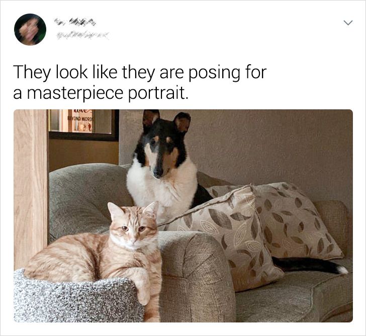 4719a957ea8d404d7630adc370