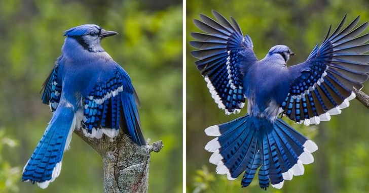 4725e153e2bf64c6c1c1770d2e