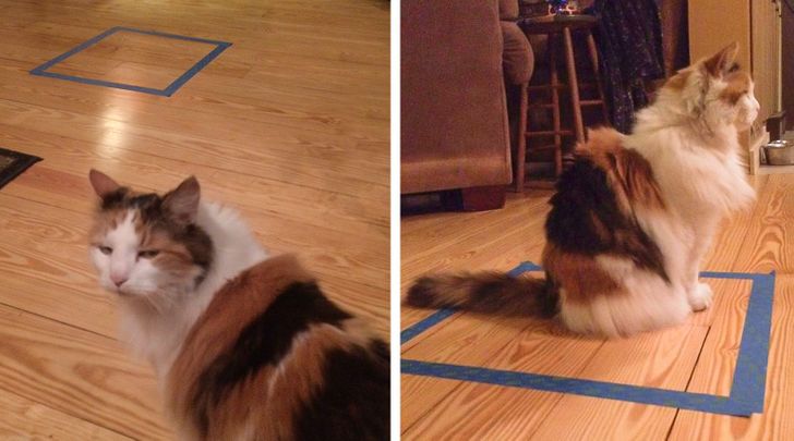 472ab55d5f81f2742752d493a6