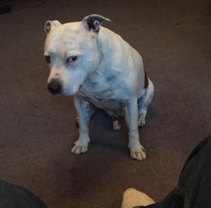 472d30571e80646d913af04a89